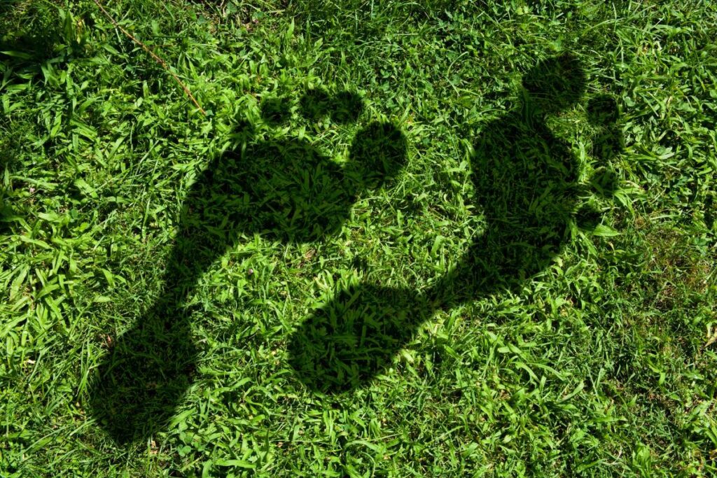 Footprints on green grass to show carbon footprint